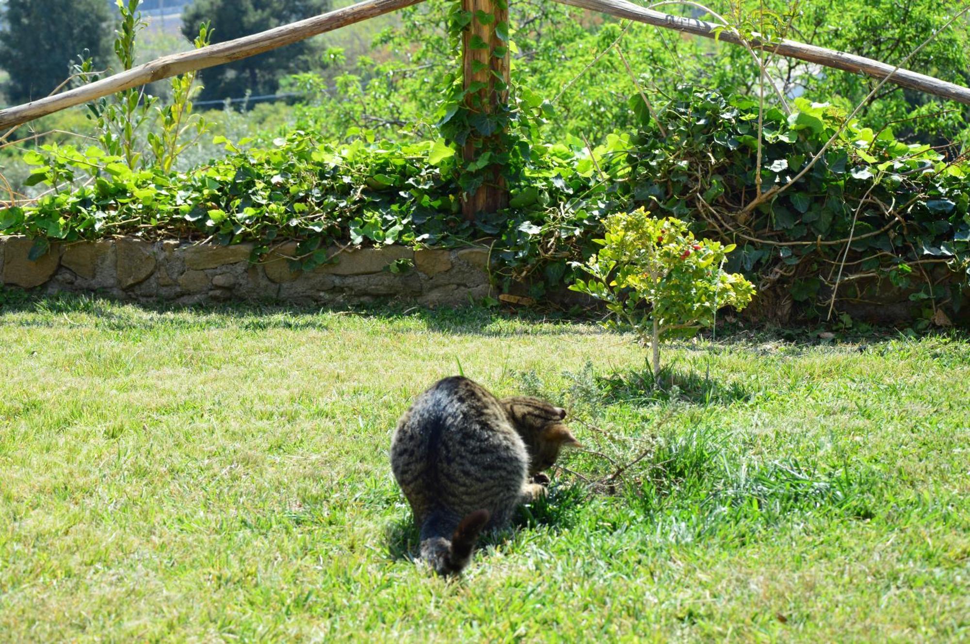 Antico Borgo Etneo Country Hotel Calatabiano Bagian luar foto