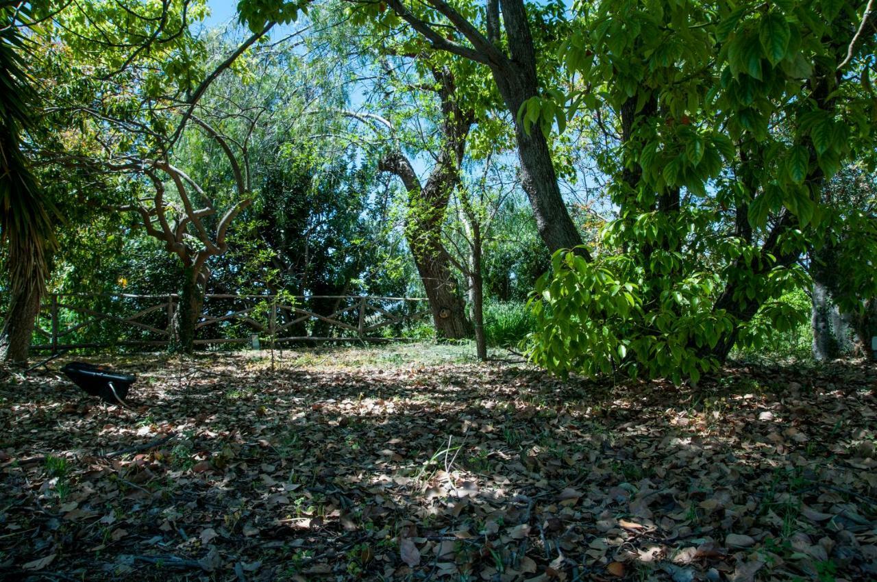 Antico Borgo Etneo Agriturismo Villa Calatabiano Bagian luar foto